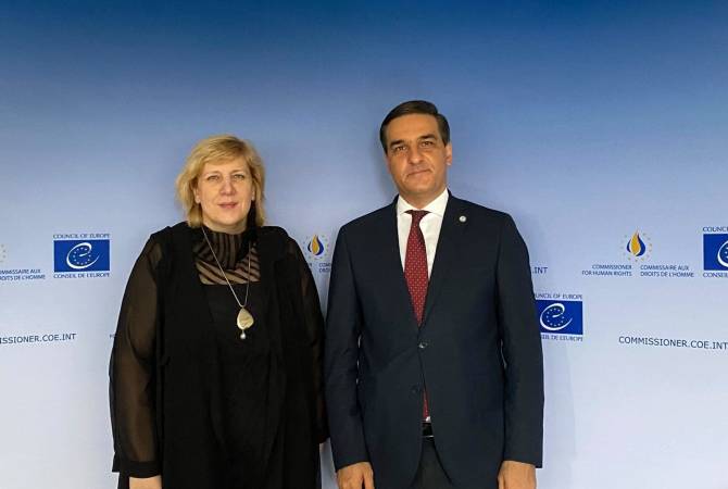 Armenian Ombudsman discusses necessity of urgent return of POWs from Azerbaijan with CoE 
Human Rights Commissioner