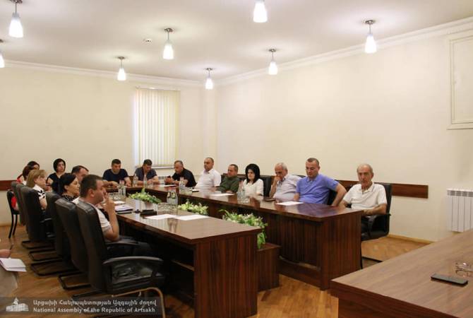 В Парламенте Арцаха обсудили перспективы развития сферы ИТ