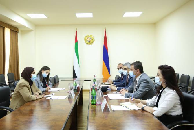 ԱՄԷ-ն կարևորում է Հայաստանի հետ համագործակցության ընդլայնումը բարձր 
տեխնոլոգիական արդյունաբերության ոլորտում