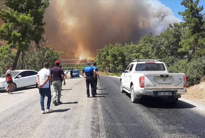 В Анталье зафиксировали крупный лесной пожар