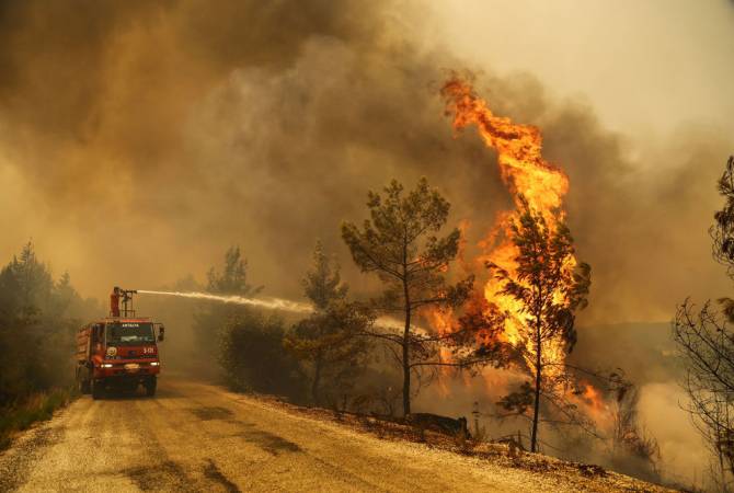 Турция запросила помощь ЕС в тушении лесных пожаров

