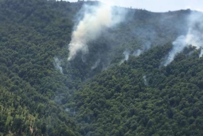 В Азербайджане горят леса южных районов 