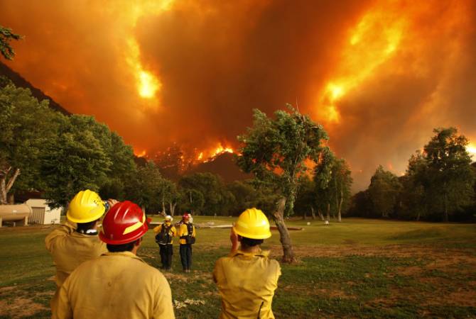 Евросоюз окажет помощь европейским странам в борьбе с лесными пожарами