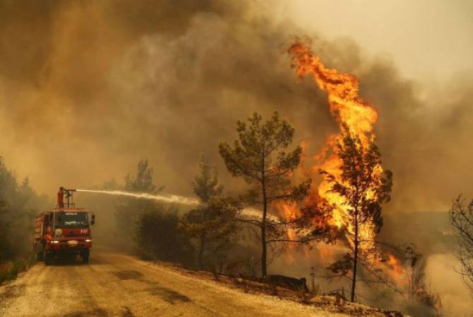 Пожарным в Турции удалось локализовать 196 из 208 очагов лесных пожаров
