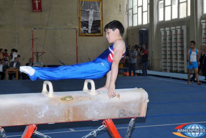  Строительство школы гимнастики в Ереване отложено
 