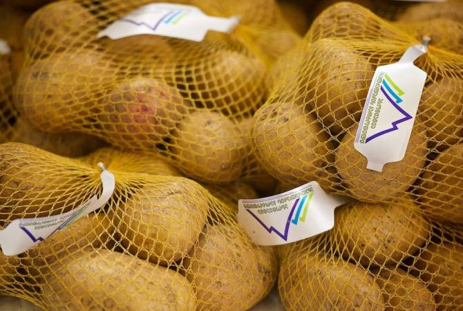  Грузия вернула Турции 52 тонны больного картофеля
 