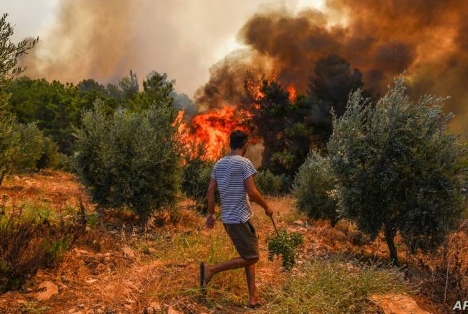 Թուրքիայում նոր անտառային հրդեհի օջախ է բռնկվել

 
