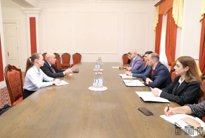 Вице-спикер НС Армении принял спецпредставителя президента РФ по международному 
культурному сотрудничеству

