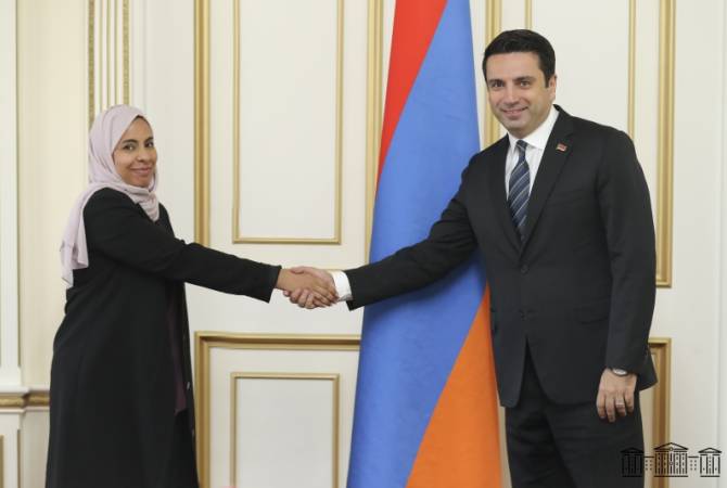 رئيس البرلمان آلان سيمونيان يلتقي القائمة بأعمال سفارة الإمارات  بأرمينيا أحلام راشد السلامي وبحث 
التعاون بين البلدين 