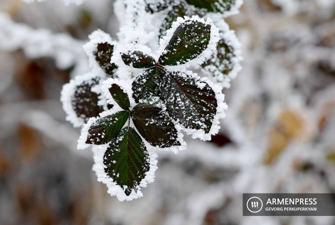 В Армении выпал первый снег

