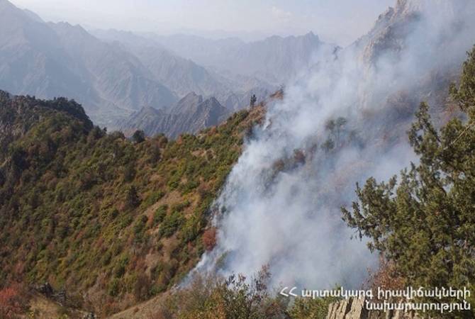 На территории национального парка «Аревик» возобновлены работы по пожаротушению
