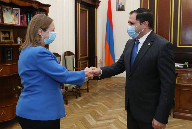 Вице-премьер Сурен Папикян принял посла США в Армении Линн Трейси

