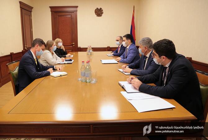 Armenia SRC Chairman, US Ambassador discuss cooperation in customs, tax administration 
sectors