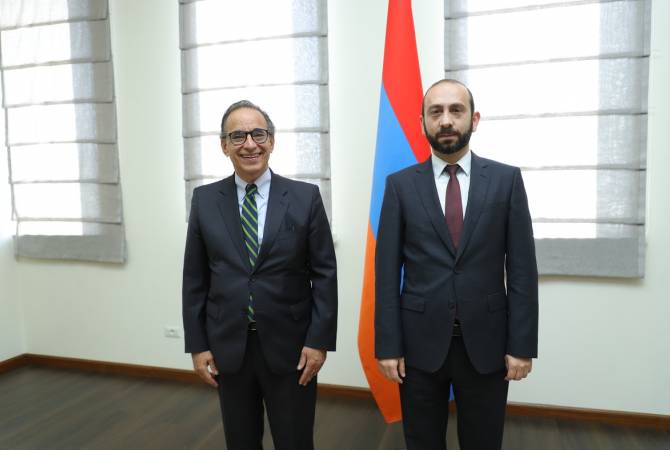 Глава МИД Армении и посол Бразилии подчеркнули необходимость активизации 
политического диалога

