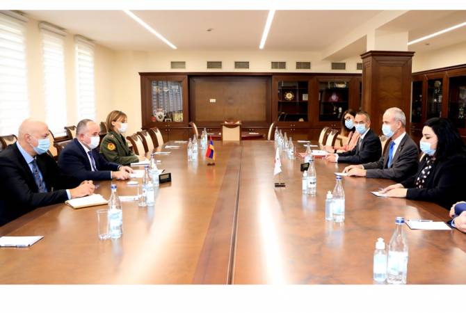 Armenian Defense Minister, ICRC delegation discuss issues relating to missing persons