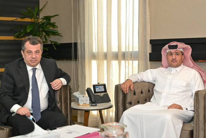 Armenia, Qatar discuss opportunities of expanding partnership in civil aviation sector