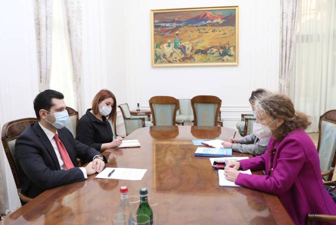 Armenian deputy PM receives acting UN Resident Coordinator