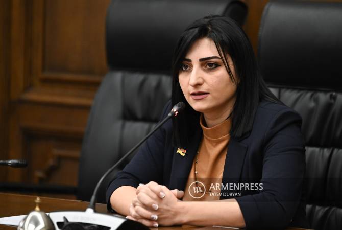 International community must have its say – Armenian MP on Azerbaijani provocations