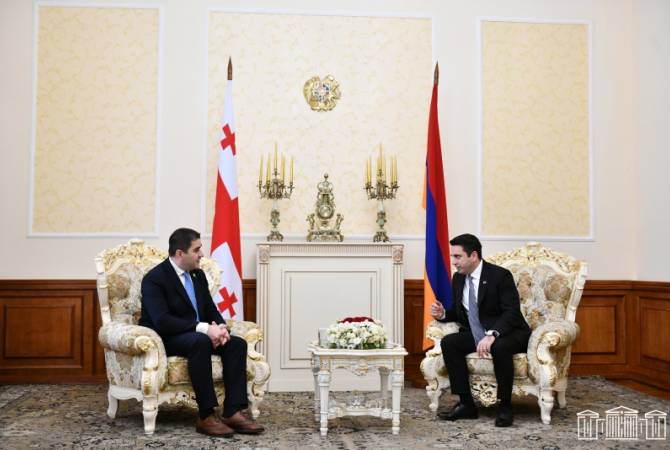Le Président de l’AN a rencontré son homologue géorgien