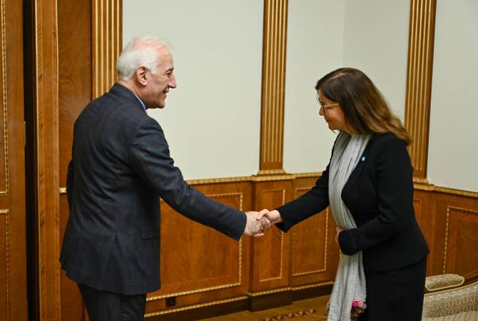 Президент Армении принял представителя Детского фонда ООН

