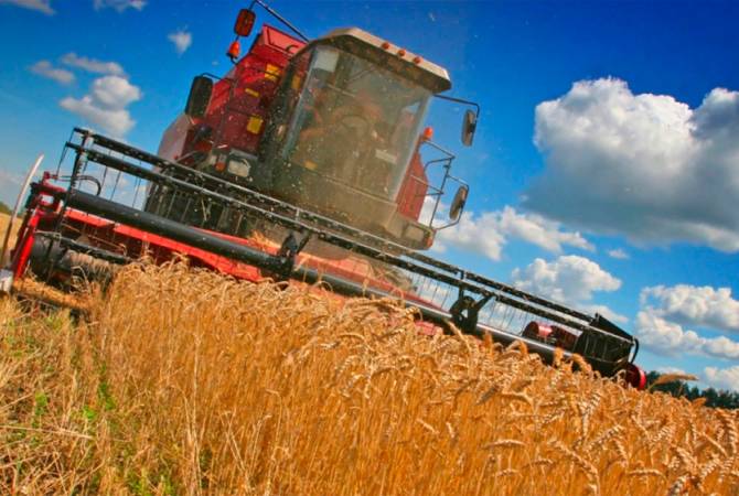  Урожай зерна в России в 2022 году может составить до 130 млн тонн
 