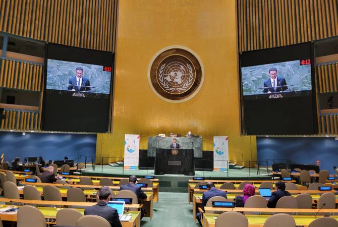 Head of Migration Service presents Armenia sector reforms at UN   