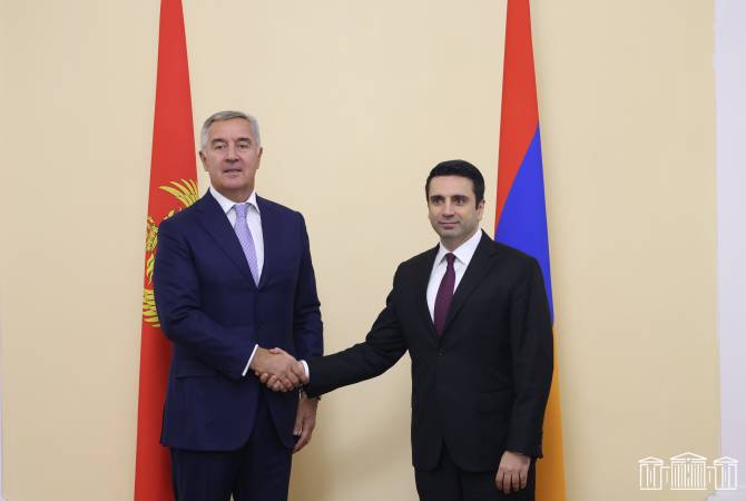 Short-term solutions to conflicts bring long-term sufferings – President of Montenegro says in 
Yerevan