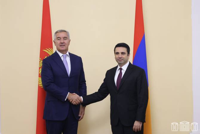 Short-term solutions to conflicts bring long-term sufferings – President of Montenegro says in 
Yerevan