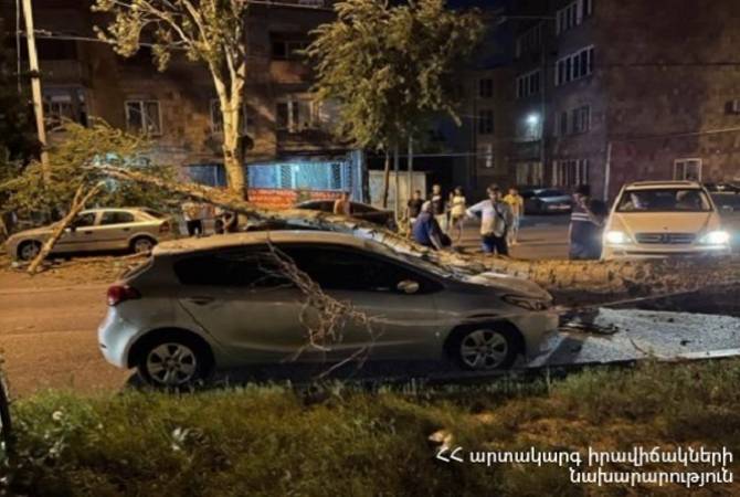  В Абовяне дерево упало на припаркованные автомобили 