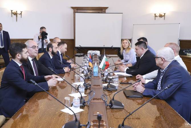 Armenian FM introduces Bulgarian lawmakers on current situation around NK conflict