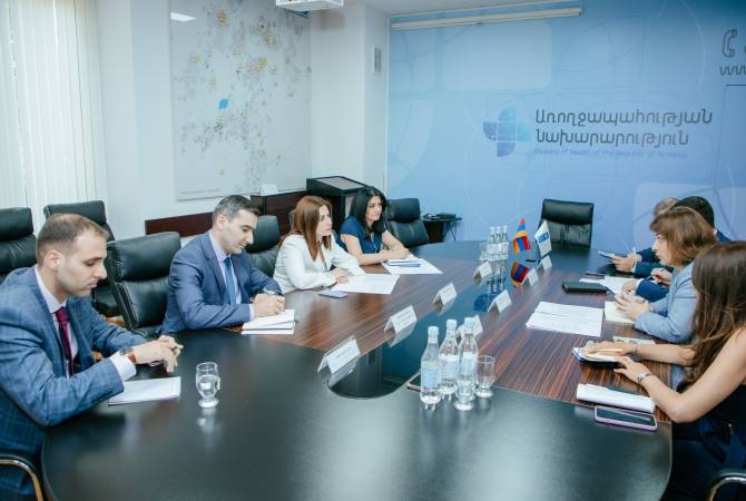 Анаит Аванесян и постоянный представитель ПРООН обсудили вопросы сотрудничества

