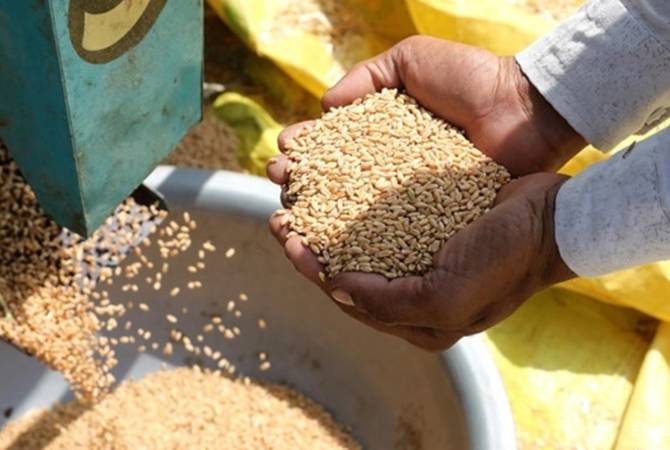 Грузия запретила экспорт пшеницы и ячменя
