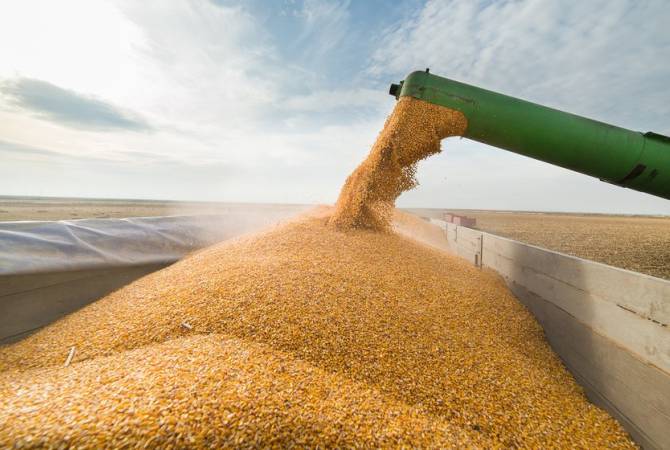 Запрещен вывоз зерна с территории Республики Арцах