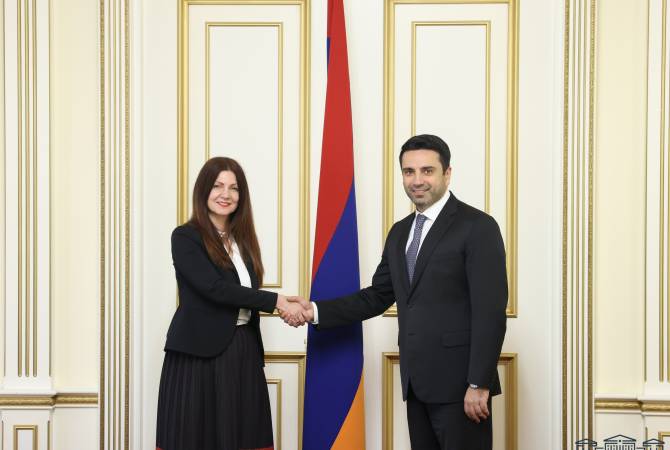 Ален Симонян обсудил перспективы развития сотрудничества с послом Сербии в РА
