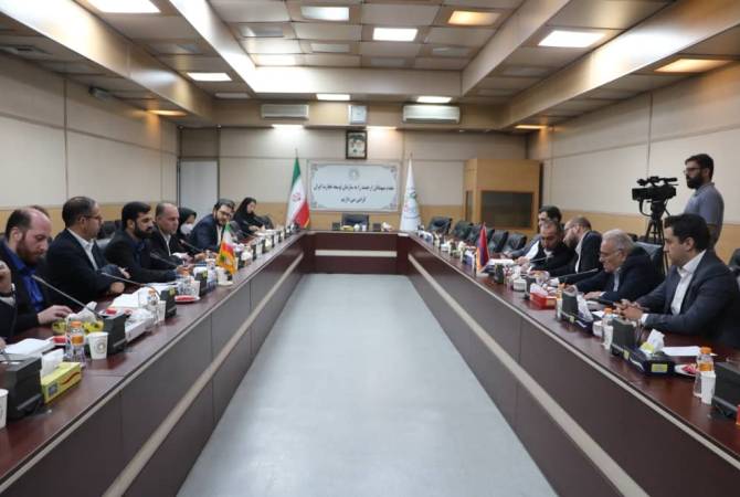 Обсуждены возможности армяно-иранского сотрудничества в горнодобывающей сфере

