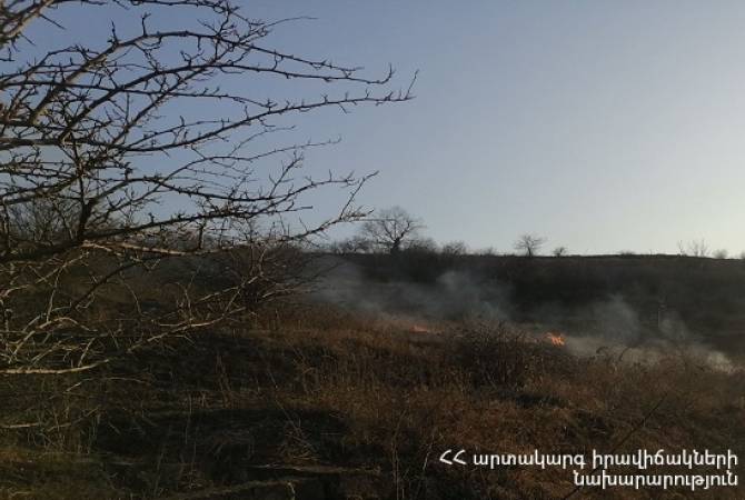 Տավուշի մարզի Բերդավան գյուղում այրվել է 35 հա խոտածածկույթ