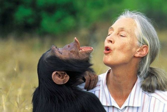 Приматолог и антрополог Джейн Гудолл награждена медалью имени Стивена Хокинга

