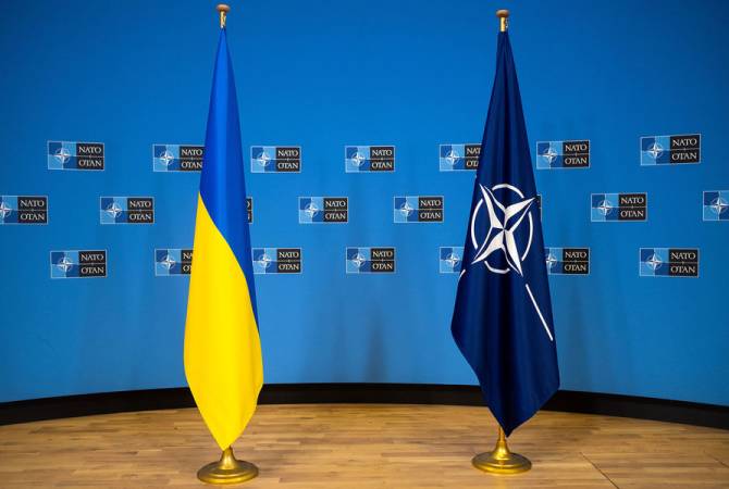 Zelensky requests fast-track NATO membership