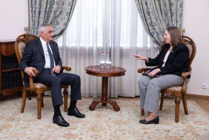 Armenian Deputy PM thanks US Ambassador for the addressed statements of the USA 
regarding Baku's aggression