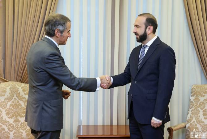 Rafael Grossi y Ararat Mirzoián hablaron sobre la central nuclear de Armenia