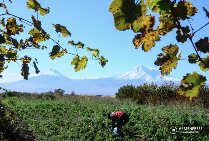 Agriculture sector continues declining in Armenia, PM says