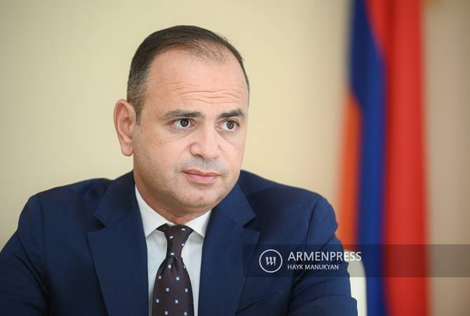 عدد أرمن الشتات الراغبين بالاستثمار بأرمينيا أعلى مما كان عليه من2019-المفوض الأعلى لشؤون 
الشتات الأرمني زاره سينانيان-