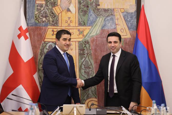 مهتمون بإقامة شراكة إستراتيجية مع جورجيا- رئيس البرلمان الأرميني لنظيره الجورجي-