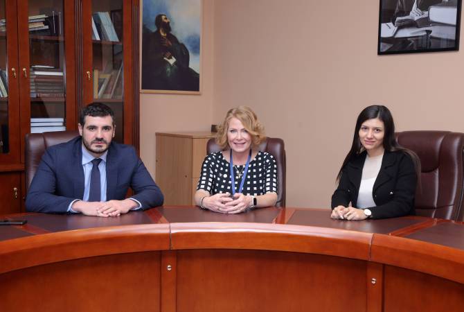 MP Yeghoyan discusses dangers threatening Armenia with Swedish counterpart 