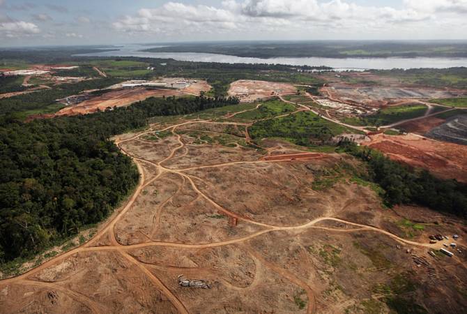  СМИ: Бразилия установила рекорд по площади вырубленных лесов в 2022 году 