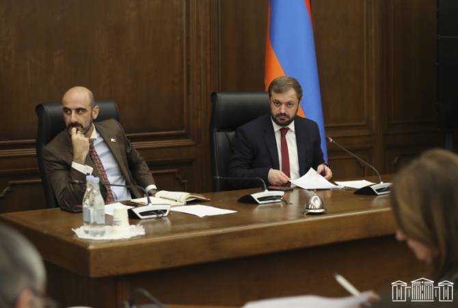 На совместном заседании комиссий НС Армении обсуждены вопросы оказания 
амбулаторно-поликлинической медпомощи
