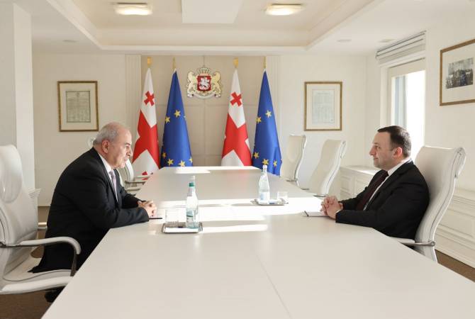 Gharibaşvili, Gürcistan'ın yeni atanan Ermenistan Büyükelçisi ile görüştü
