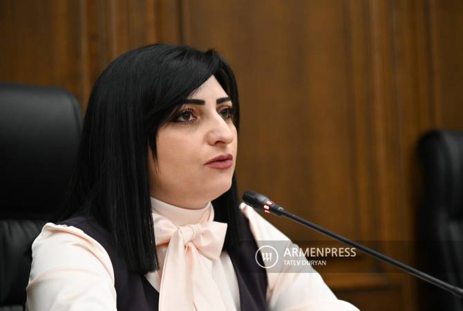 Глава парламентской комиссии направила письма омбудсмену, главе Комитета 
Кнессета по поводу избиения армян в Израиле