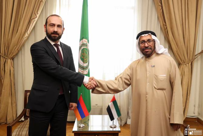  Министр ИД Армении встретился в Каире с государственным министром ОАЭ 