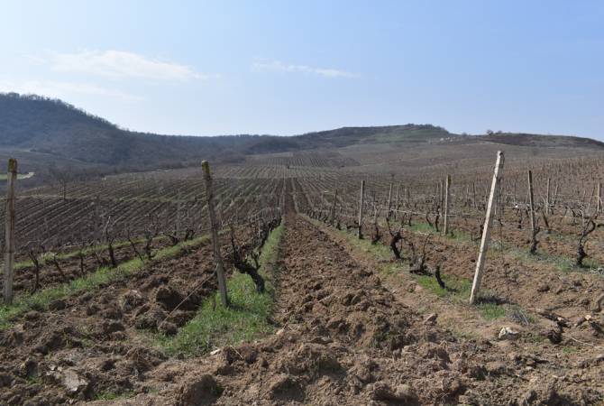 Azerbaijan menembaki warga sipil yang melakukan pekerjaan pertanian